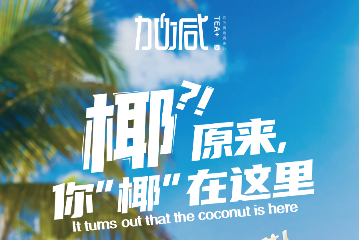 恒峰g22椰子系列新品火爆上市